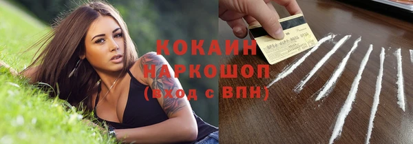 индика Новодвинск