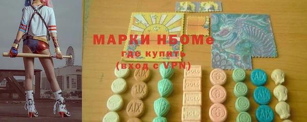 индика Новодвинск