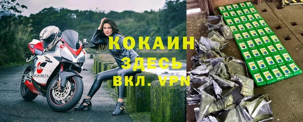 индика Новодвинск