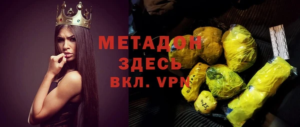 индика Новодвинск