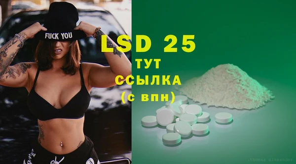 индика Новодвинск