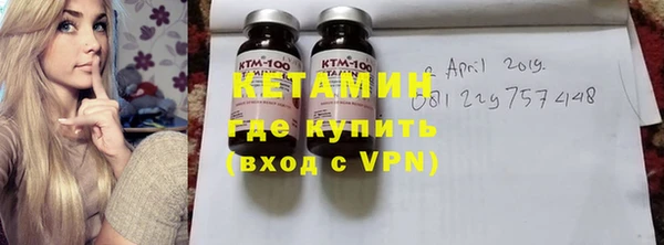 индика Новодвинск