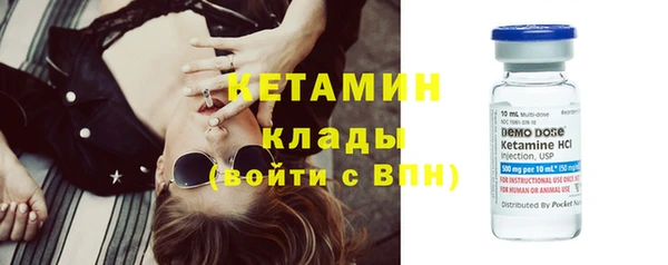 индика Новодвинск