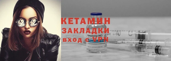 ПСИЛОЦИБИНОВЫЕ ГРИБЫ Новозыбков