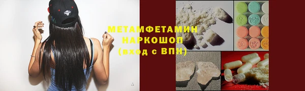 индика Новодвинск