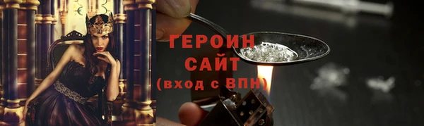 индика Новодвинск