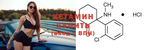 индика Новодвинск