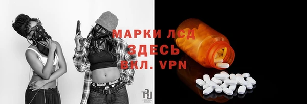 индика Новодвинск