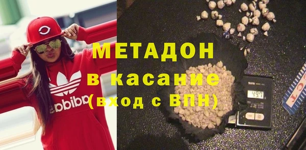 индика Новодвинск