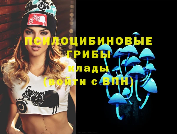 ПСИЛОЦИБИНОВЫЕ ГРИБЫ Новозыбков