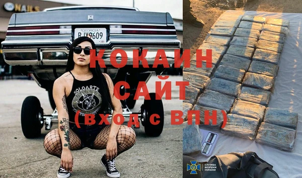 индика Новодвинск