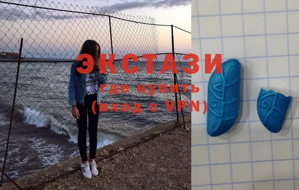 индика Новодвинск