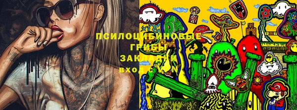 индика Новодвинск
