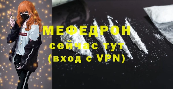 индика Новодвинск