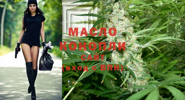 индика Новодвинск