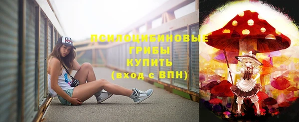ПСИЛОЦИБИНОВЫЕ ГРИБЫ Новозыбков