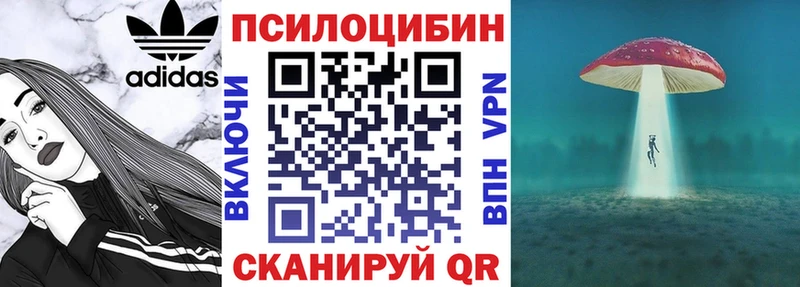 как найти закладки  Шимановск  Псилоцибиновые грибы Psilocybe 